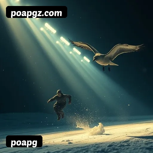 Estatísticas poapg novembro 2024 - 87 mil jogadores ativos, R$47M pagos, RTP 96.52%